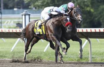 How to bet the all-stakes Pick 4 on Haskell preview day