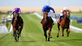 Irish Cesarewith preview: What the trainers say
