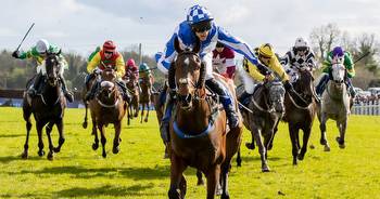 Irish Grand National horse selector: Pick who to side with in the big race