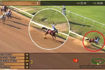 Is this the worst loss of all time? Unthinkable happens as horse and jockey throw away victory with dramatic crash