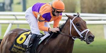 Kingsbarns Odds to Win Kentucky Derby Sit At Number 2