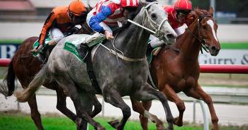 Mastering the art of horse racing betting