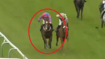 'Missing horse' wins race after being backed off the boards despite atrocious form