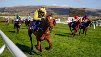 Mullins-trained Champion Hurdle prospect sets the standard in top novice event