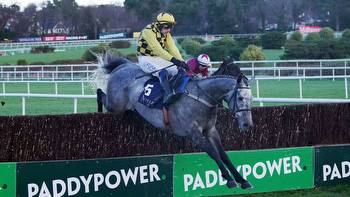 Neville Hotels Novice Chase report, reaction and free replay: Gaillard Du Mesnil wins