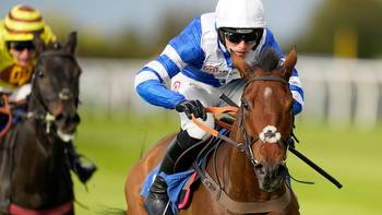 New Years racing tips from Cheltenham and Fairyhouse for more festive feature showpieces
