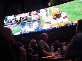 NFL Owners Love Sports Betting