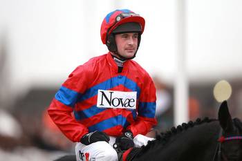 Nico de Boinville Racing Odds and Info