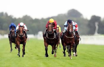 Oakmere Homes EBF Fillies' Novice Stakes betting tips and predictions