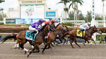 Pegasus World Cup 2023 Predictions, Odds: Expert Tips for Win, Place, Show, Exacta, Trifecta and Superfecta