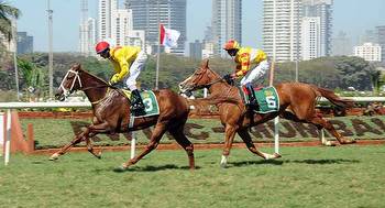Prepping for a Thrilling Ride: An Expert’s Guide To Horse Racing In India