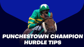 Punchestown Champion Hurdle Tips: A 12/1 tip who can give State Man something to think about