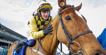 Punchestown preview: State Man out to make another statement of intent