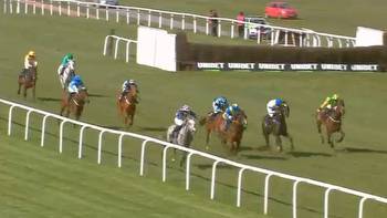 Punters all say they've 'never seen anything like it' after witnessing 999-1 in-running horse