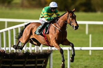 Punters can raise a glass to Flooring Porter at Punchestown