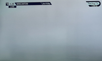 punters slam 'ridiculous' Wincanton racing as fog means no one can see anything