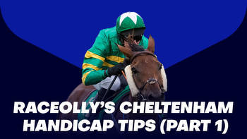 Raceolly's Cheltenham Handicap Tips Part 1: Check out his best bets for Tuesday and Wednesday at the Festival