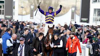 Rambler been there and done that at Cheltenham