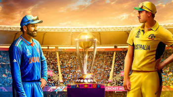 Rs 70,000 Crore-Worth Bets Ride On India Vs Australia World Cup Final, Gamblers On India's Side