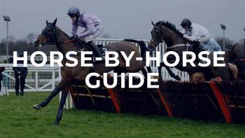 Sandown tips: Tolworth Novices' Hurdle horse by horse guide and verdict