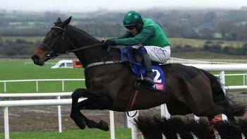 Sky Bet Moscow Flyer Novice Hurdle report, reaction and free replay: Impaire Et Passe wins for Willie Mullins