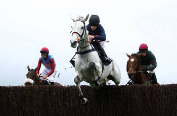 Snow Leopardess Grand National Odds & Betting Profile