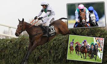 Sportsmail's 2014 racing review: Marcus Townend looks back at an exciting year
