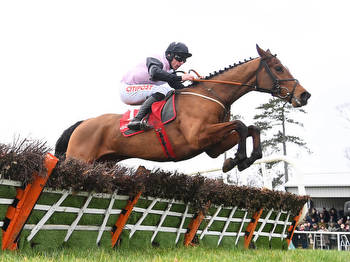 Teahupoo new favourite for Stayers’ Hurdle after Galmoy glory