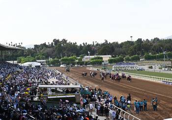 The Breeders Cup: all you need to know