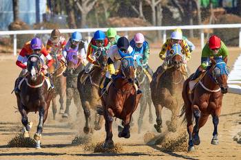 The most popular horse races in the world