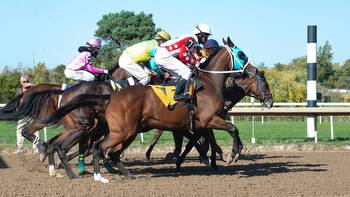 The role of jockeys in horse racing: Challenges, training, and race outcome