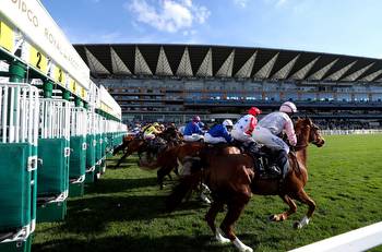 The Ultimate Guide to William Hill Horse Racing: Betting on the Fast Track