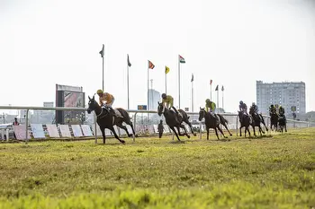 Tips For Analyzing Winning Horses In The Dubai World Cup
