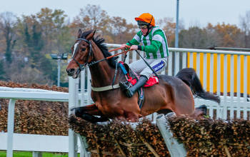 Tolworth Hurdle tips and runners guide to Sandown 2.25