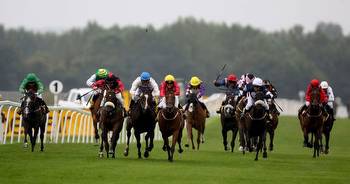 Top Horse Race Betting Sites in India