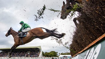 trainers' chief dismisses Richard Newland concerns over low-grade jumps races