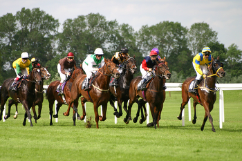 ULTIMATE GUIDE TO ALL HORSE RACING BREEDS