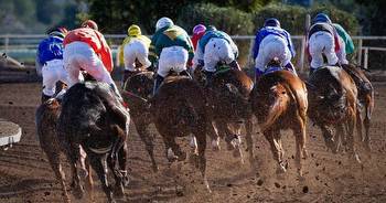 Understanding horse racing bet types: Increasing your betting skills
