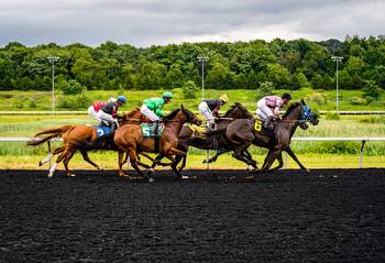 Understanding the Basics of Horse Race Betting