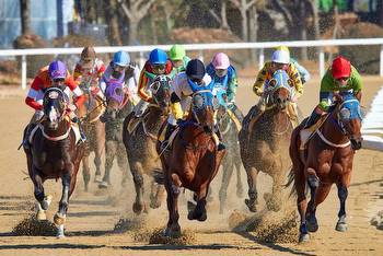 US Horse Racing Tips Today: The best bets to place Stateside