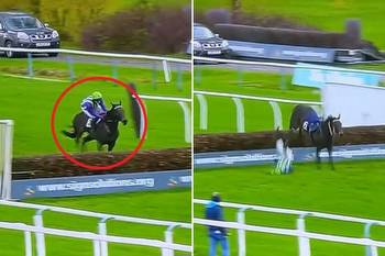 watch jockey's bizarre fall at the last that's left punters absolutely baffled