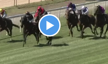 Watch 📺 Punters fuming after jockey stops riding and gets horse beat
