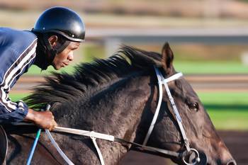 What can we expect from the future of horse racing?