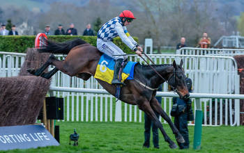 When is the National Hunt Chase? Cheltenham date, time, runners, betting