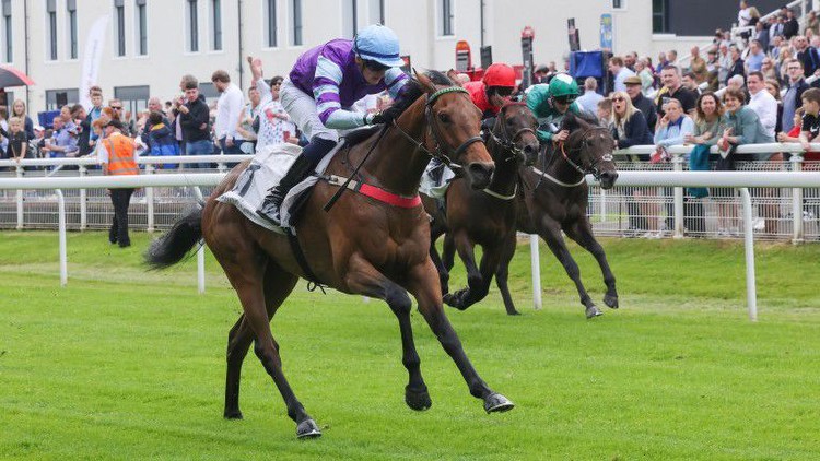 £1 horse becomes joint biggest-priced Flat winner in Britain with 200-1 success