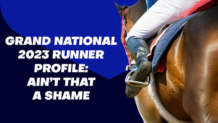 Ain't That A Shame Grand National Odds & Betting Profile