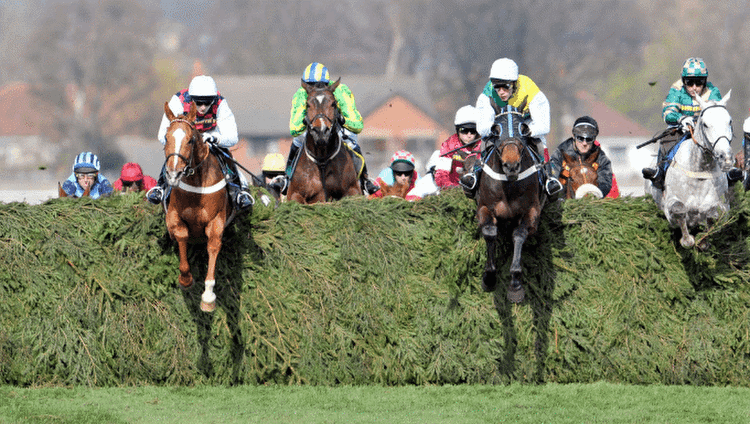 Aintree Grand National Tips: Best Outsiders