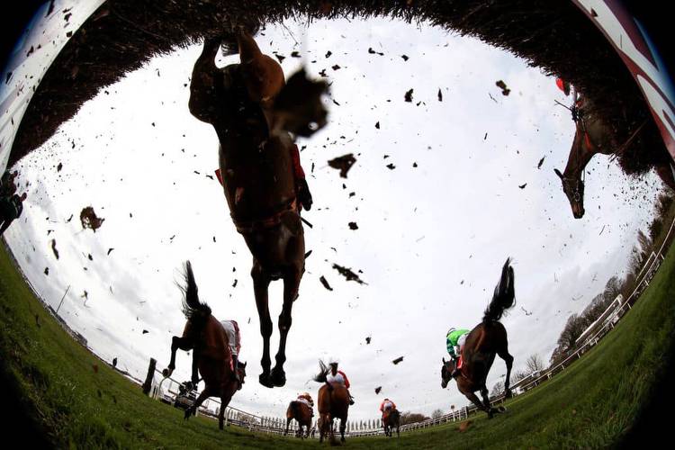 Aintree Ladies Day Tips: Inthepocket can line punters' pockets at Aintree