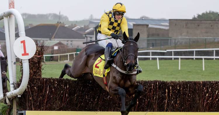Al Boum Photo's Gold Cup odds unchanged after Savills New Year’s Day Chase win at Tramore