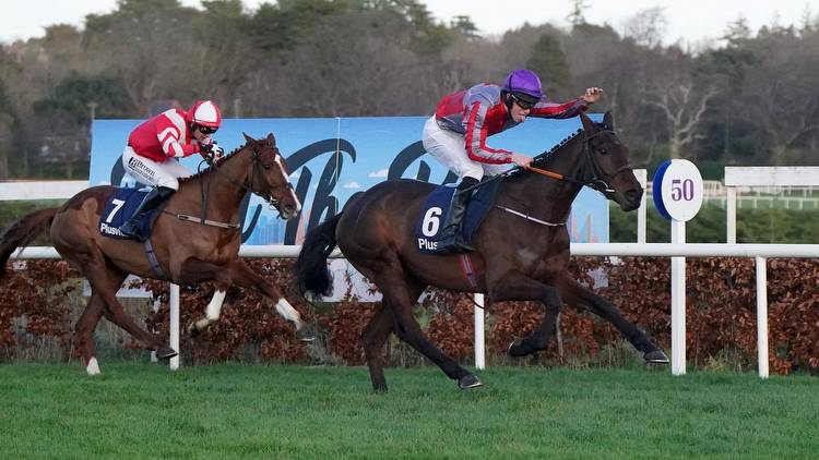 All options open for exciting Leopardstown bumper winner Fascile Mode